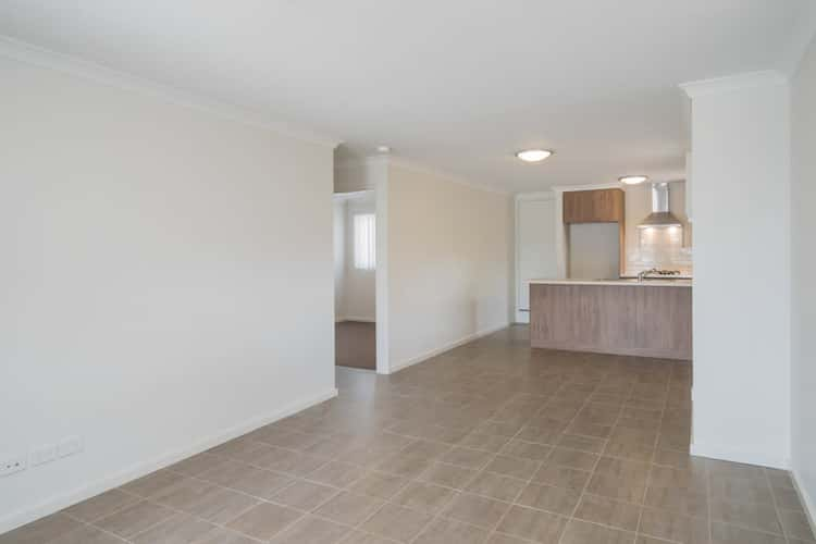 Third view of Homely unit listing, 493A Karrinyup Road, Innaloo WA 6018