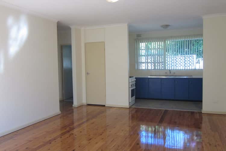 Main view of Homely unit listing, 1/51a Burwood Road, Concord NSW 2137