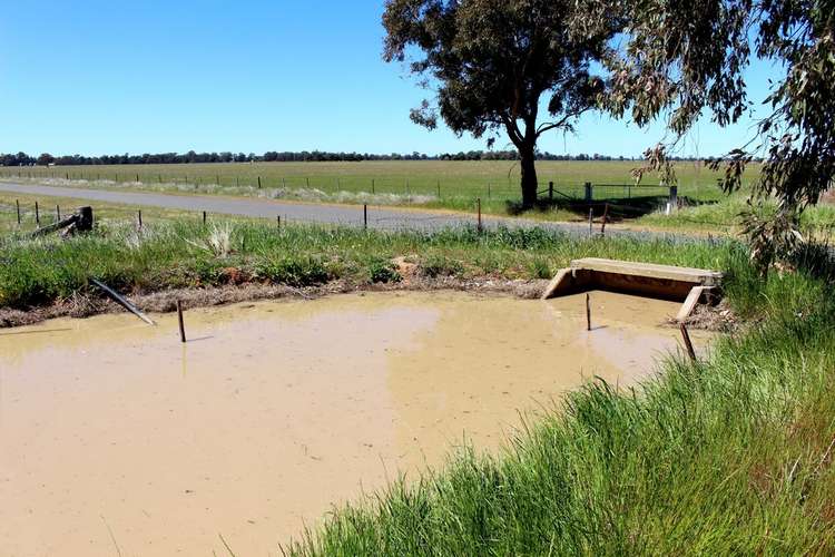 Fifth view of Homely mixedFarming listing, "Lochiel" Woodstock Road, Berrigan NSW 2712