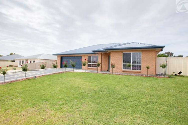 Main view of Homely house listing, 20 PINE GROVE, Naracoorte SA 5271