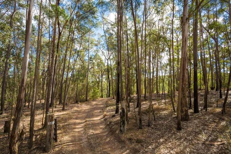 Fifth view of Homely acreageSemiRural listing, 587 Reedy Swamp Rd, Bega NSW 2550