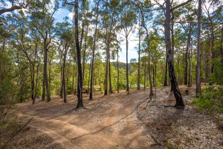 Sixth view of Homely acreageSemiRural listing, 587 Reedy Swamp Rd, Bega NSW 2550