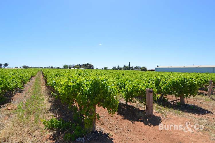 Main view of Homely acreageSemiRural listing, 92 Fifth Street, Nichols Point VIC 3501