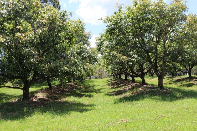 Second view of Homely acreageSemiRural listing, 484 Gwynne Road, Georgica NSW 2480