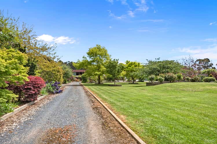 Fifth view of Homely house listing, 68 River Road, Ambleside TAS 7310