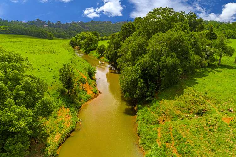 Third view of Homely acreageSemiRural listing, 1545 Bangalow Road, Clunes NSW 2480