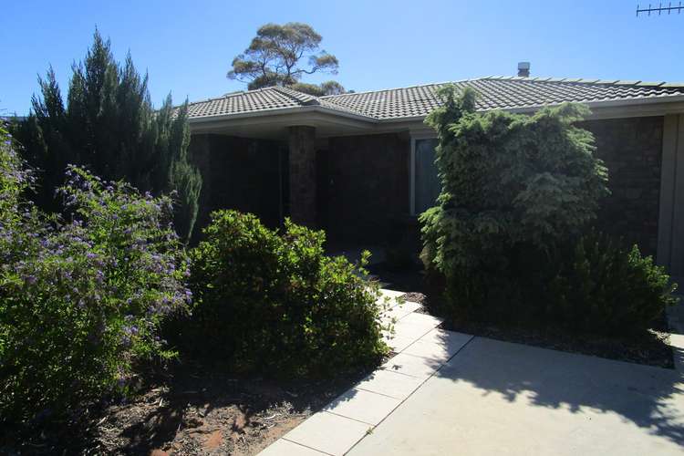 Main view of Homely house listing, 23 Cooper Street, Berri SA 5343