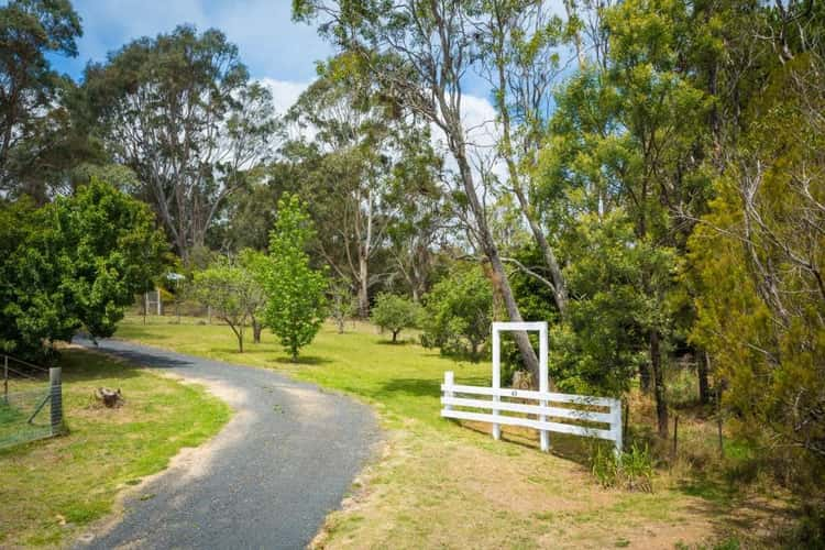 Third view of Homely acreageSemiRural listing, 43 Nelba Nelba Rd, Bega NSW 2550