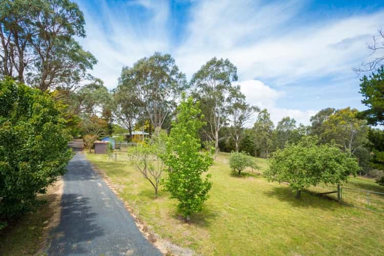 Fourth view of Homely acreageSemiRural listing, 43 Nelba Nelba Rd, Bega NSW 2550