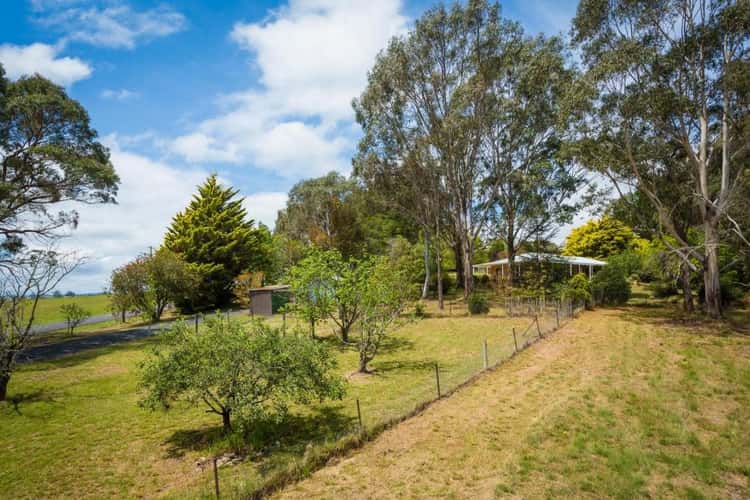 Fifth view of Homely acreageSemiRural listing, 43 Nelba Nelba Rd, Bega NSW 2550