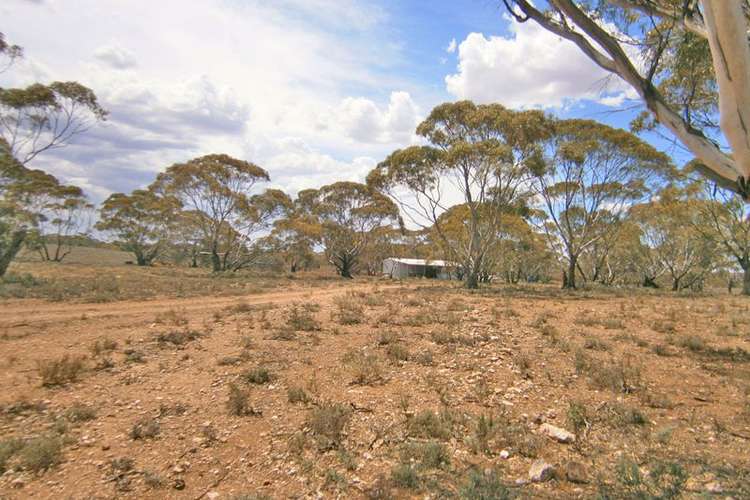 Third view of Homely cropping listing, Lot 2 Angle Road, Sutherlands SA 5374