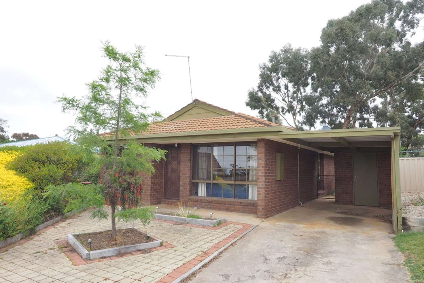 Main view of Homely house listing, 5/9 Scherger Crescent, Ararat VIC 3377