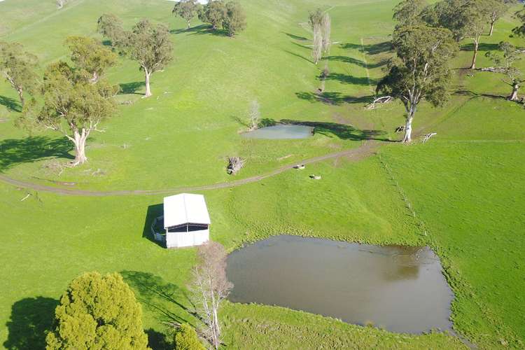 Second view of Homely livestock listing, 325 Buchanans Road, Bena VIC 3946