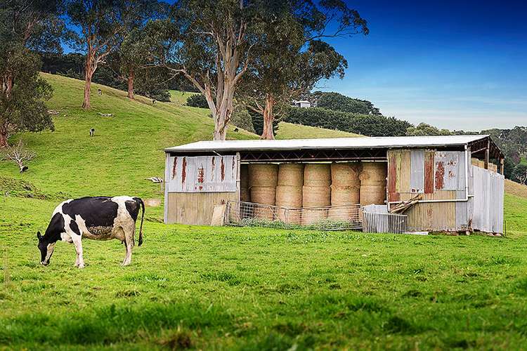 Fourth view of Homely livestock listing, 325 Buchanans Road, Bena VIC 3946