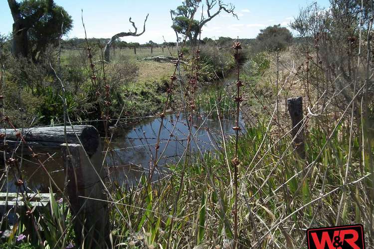 Seventh view of Homely cropping listing, Lot 10 Lake Saide Road, Youngs Siding WA 6330