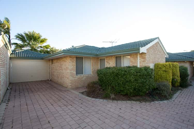 Main view of Homely villa listing, 3/23 Wilcock Avenue, Balcatta WA 6021