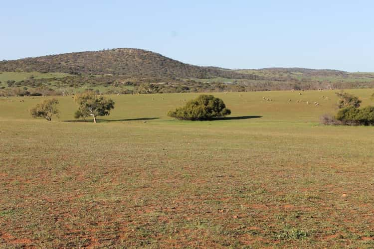 Second view of Homely mixedFarming listing, Lot 1002 Isseka Road East, Bowes WA 6535