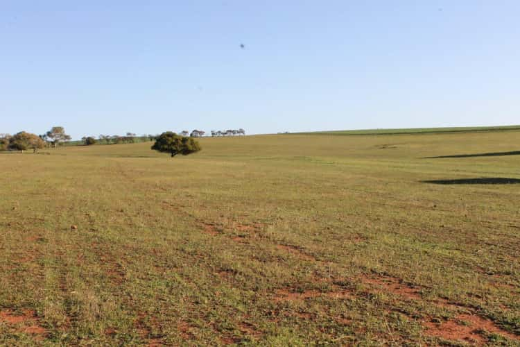 Sixth view of Homely mixedFarming listing, Lot 1002 Isseka Road East, Bowes WA 6535