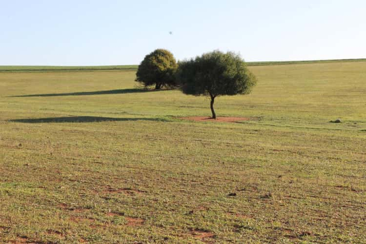 Seventh view of Homely mixedFarming listing, Lot 1002 Isseka Road East, Bowes WA 6535