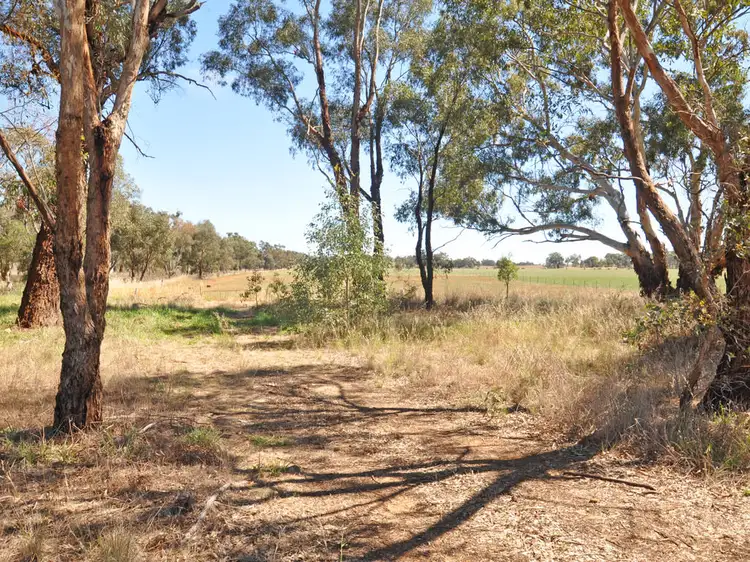 Lot 193 Broad Street, Old Junee NSW 2652