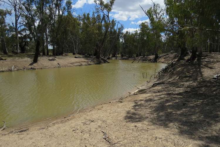 Fourth view of Homely lifestyle listing, 1063 Gonn Road, Barham NSW 2732