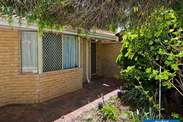 Main view of Homely house listing, 3/4 Gambie Close, Murdoch WA 6150