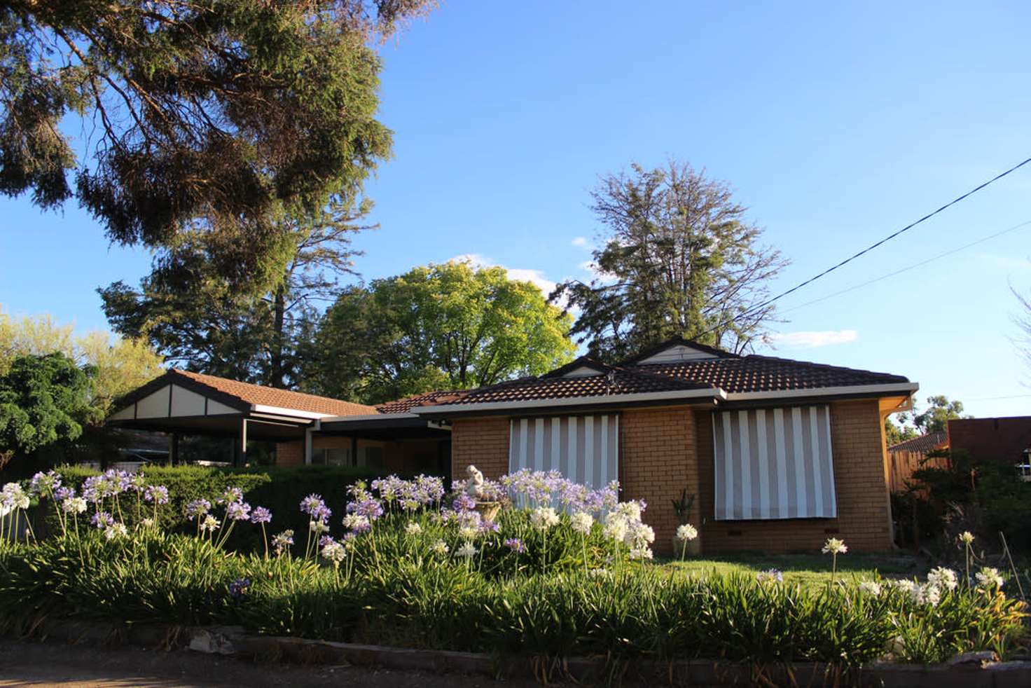 Main view of Homely house listing, 236 Fernleigh Road, Ashmont NSW 2650
