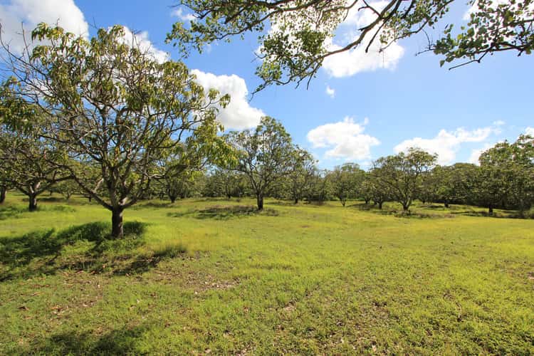 Sixth view of Homely acreageSemiRural listing, 7 Olivia Court, Alligator Creek QLD 4816