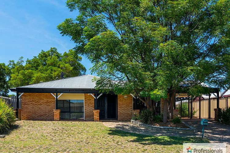 Main view of Homely house listing, 56 Seminole Gardens, Seville Grove WA 6112