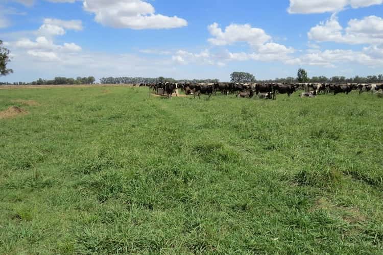 Fifth view of Homely mixedFarming listing, "Tarcoola" 457 Piney Road, Berrigan NSW 2712