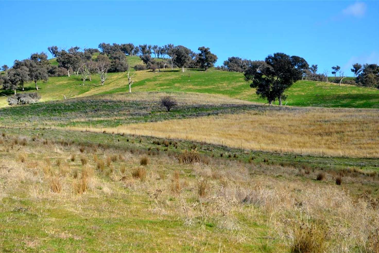 Main view of Homely acreageSemiRural listing, 'Tanyard Creek' Stantons Road, Adelong NSW 2729