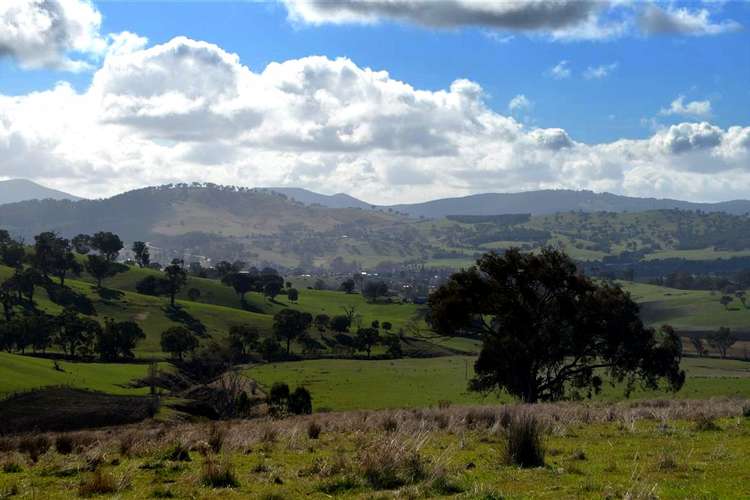 Seventh view of Homely acreageSemiRural listing, 'Tanyard Creek' Stantons Road, Adelong NSW 2729