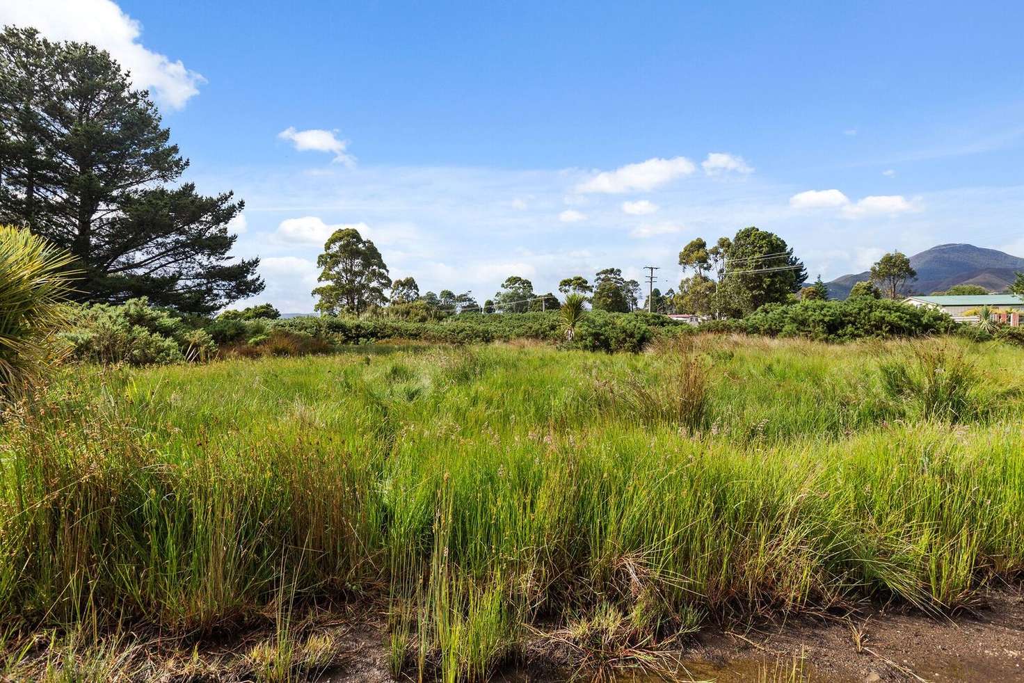 Main view of Homely residentialLand listing, 12 Mulcahy Street, Zeehan TAS 7469