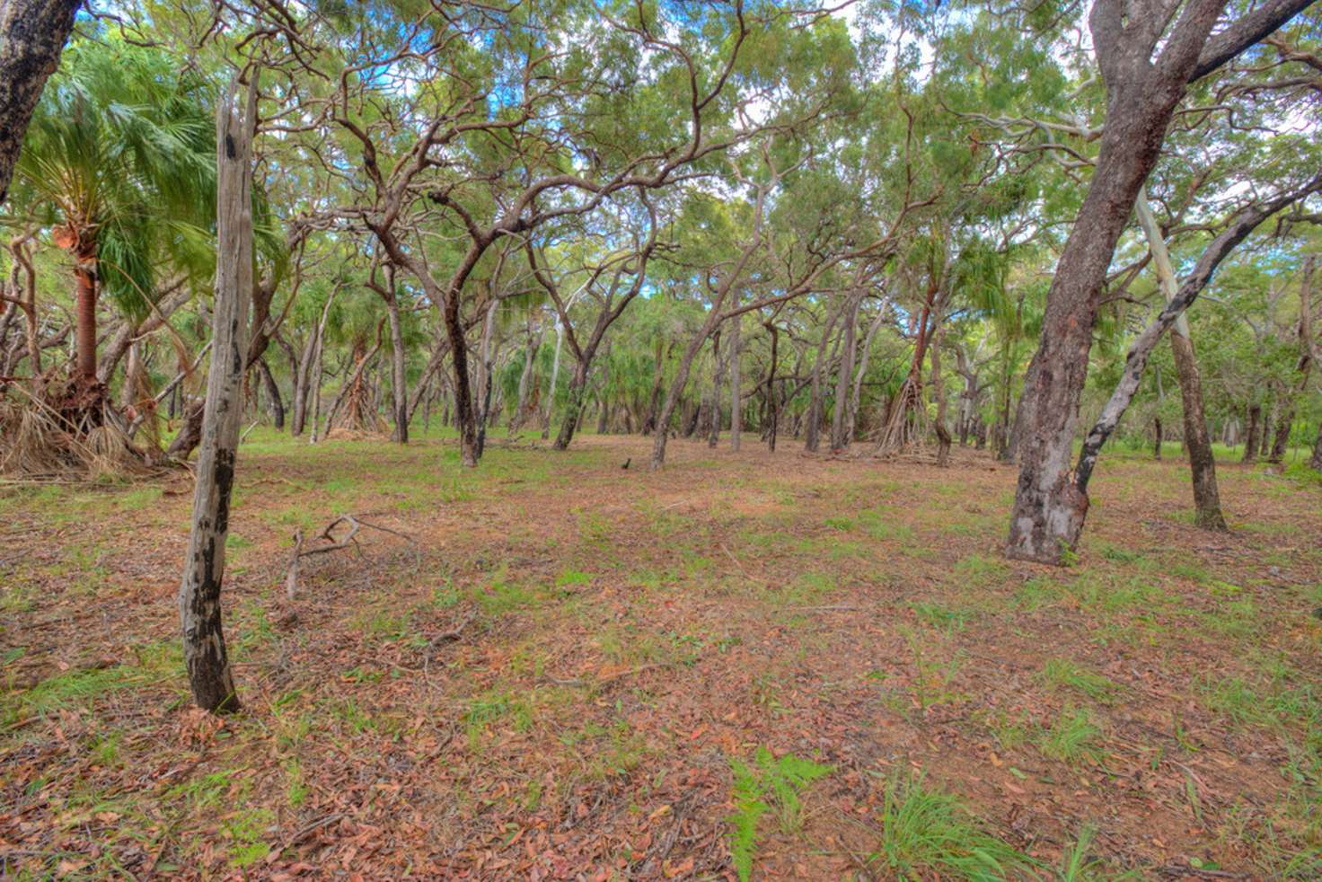 Main view of Homely residentialLand listing, Lot 75 Bloodwood Avenue, Agnes Water QLD 4677
