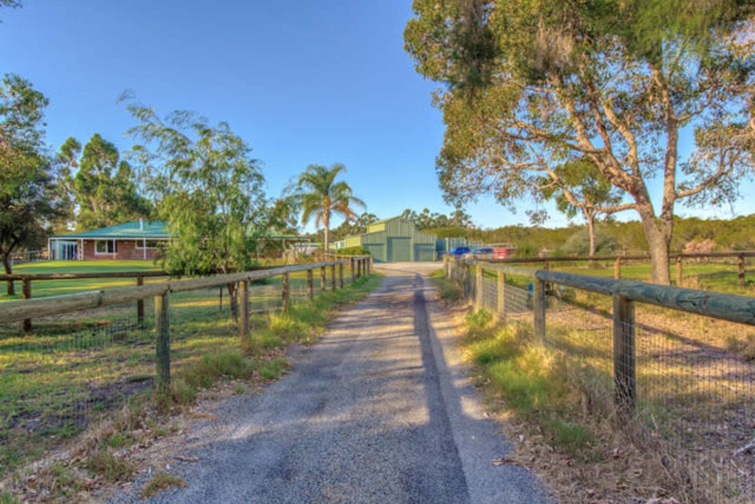 Main view of Homely house listing, 51 Nella Place, Wellard WA 6170