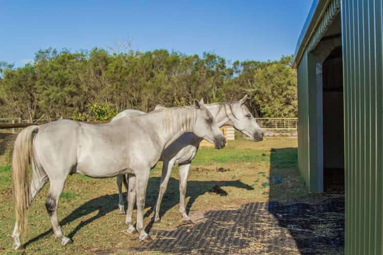 Sixth view of Homely house listing, 51 Nella Place, Wellard WA 6170