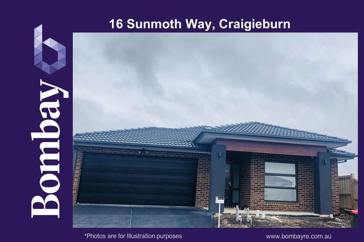 Main view of Homely house listing, 16 Sunmoth Road, Craigieburn VIC 3064