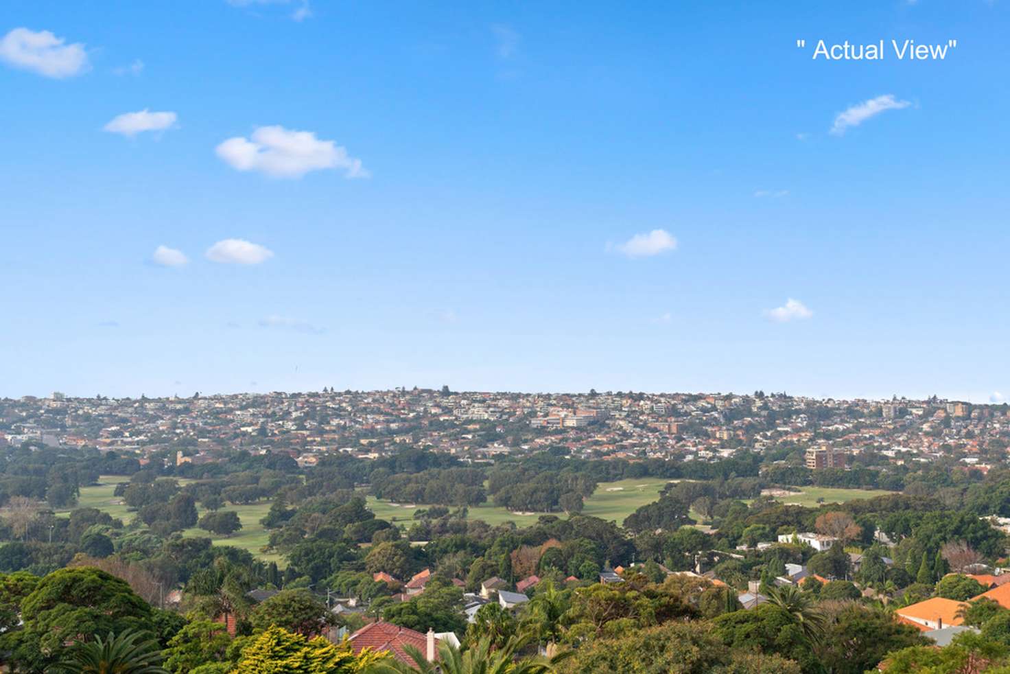 Main view of Homely house listing, 133 Victoria Road, Bellevue Hill NSW 2023