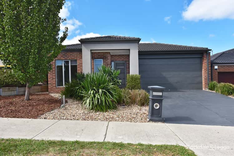 Main view of Homely house listing, 42 Chicory Street, Mernda VIC 3754