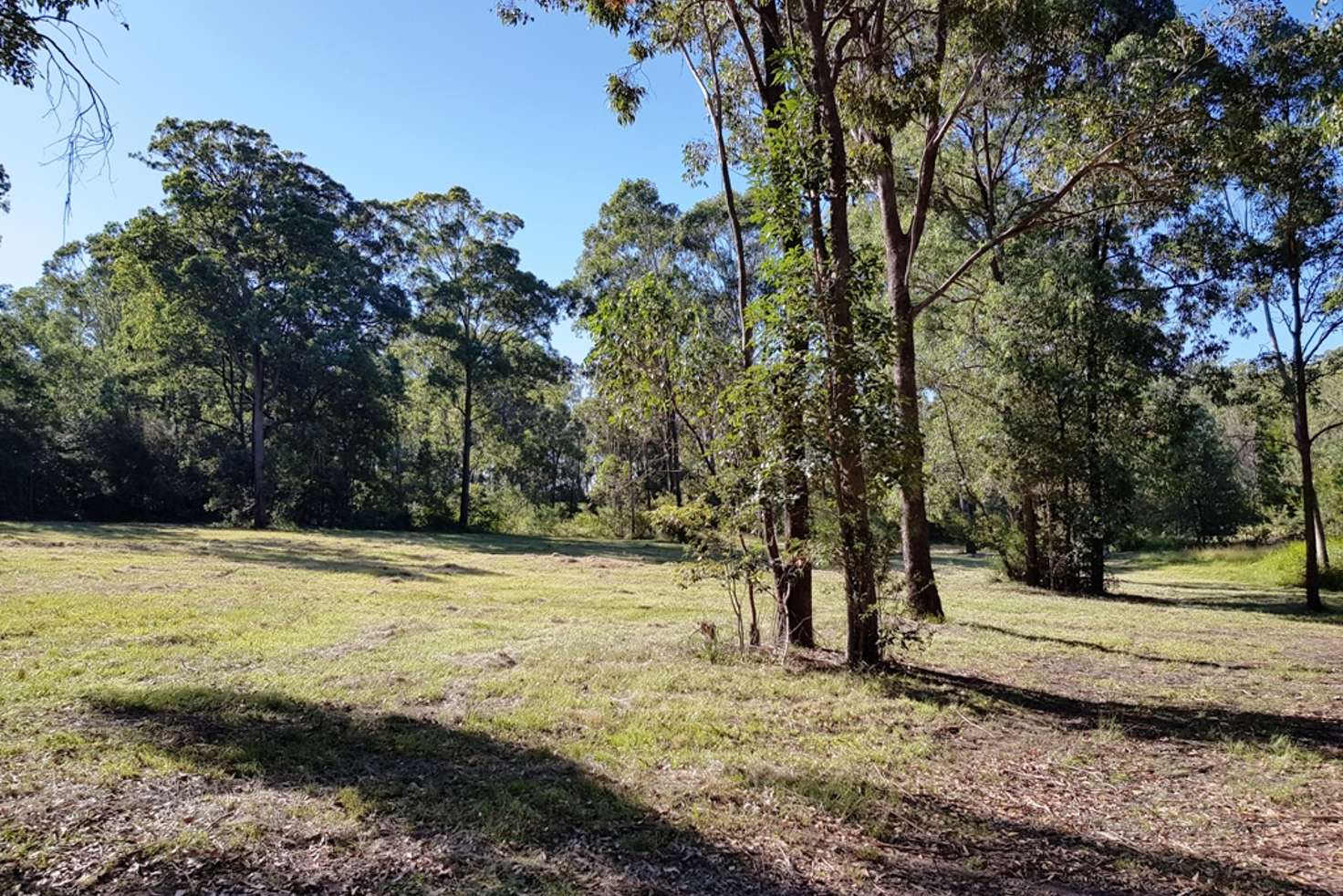 Main view of Homely residentialLand listing, 126 Jackson Road, Black Snake QLD 4600