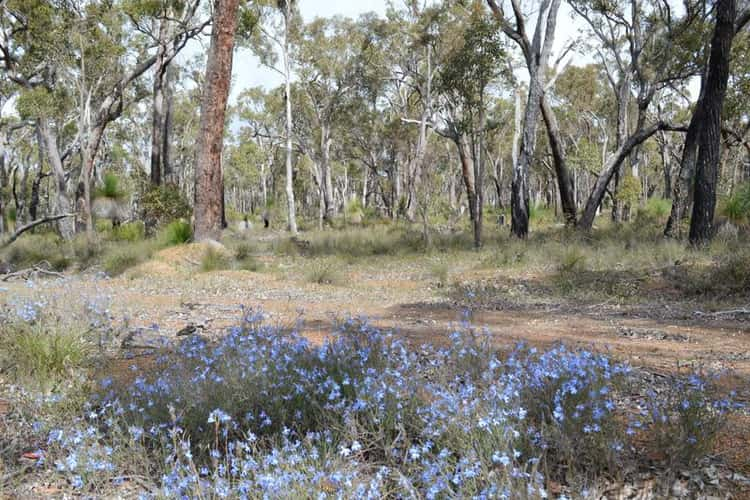 Main view of Homely lifestyle listing, L1859 Parsons Swamp Road, Boyup Brook WA 6244