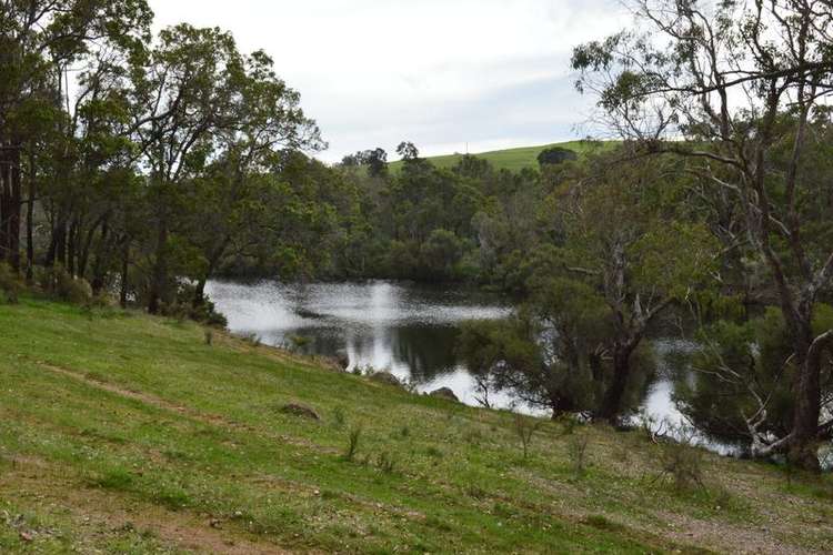 Seventh view of Homely lifestyle listing, 7876 Terry Road, Boyup Brook WA 6244