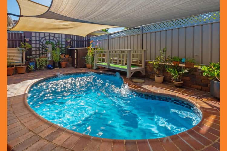 Second view of Homely house listing, 39 Macaranga Street, Algester QLD 4115