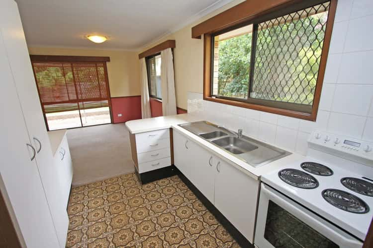 Fifth view of Homely house listing, 53 Currumburra Road, Ashmore QLD 4214