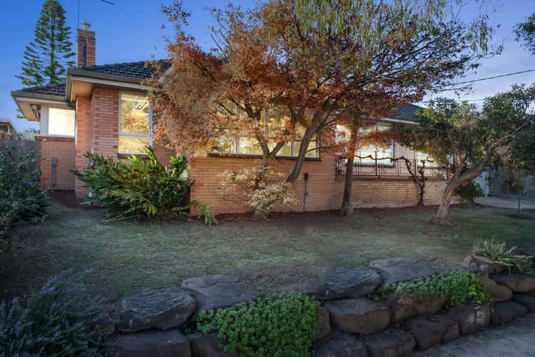 Main view of Homely house listing, 10 Douglas Avenue, Box Hill South VIC 3128