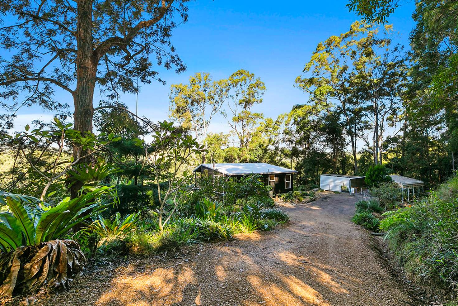 Main view of Homely house listing, 705 Black Mountain Road, Black Mountain QLD 4563