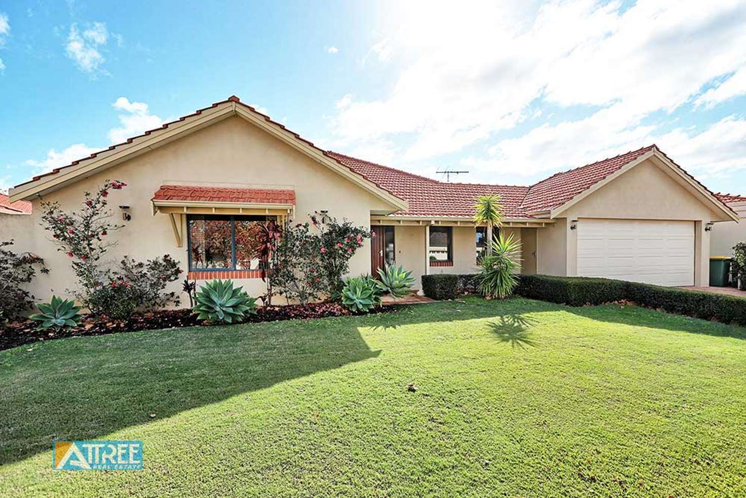 Main view of Homely house listing, 29 Lomandra Drive, Canning Vale WA 6155