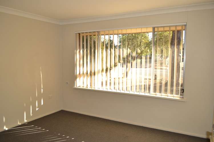 Fifth view of Homely house listing, 113 Trinity Drive, Cambridge Gardens NSW 2747