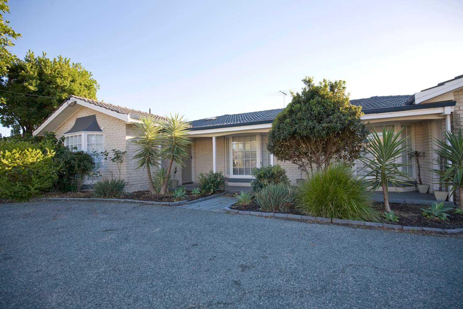 Main view of Homely house listing, 113 McLarty Road, Halls Head WA 6210