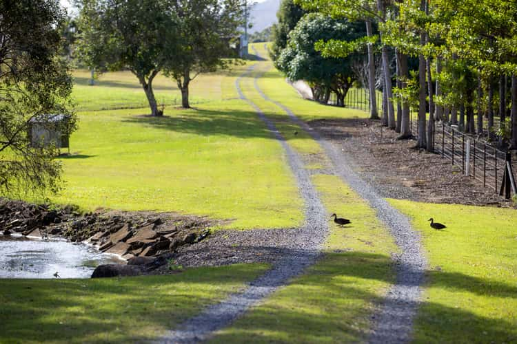 Fourth view of Homely house listing, 43 Lindeman Road, Beerwah QLD 4519